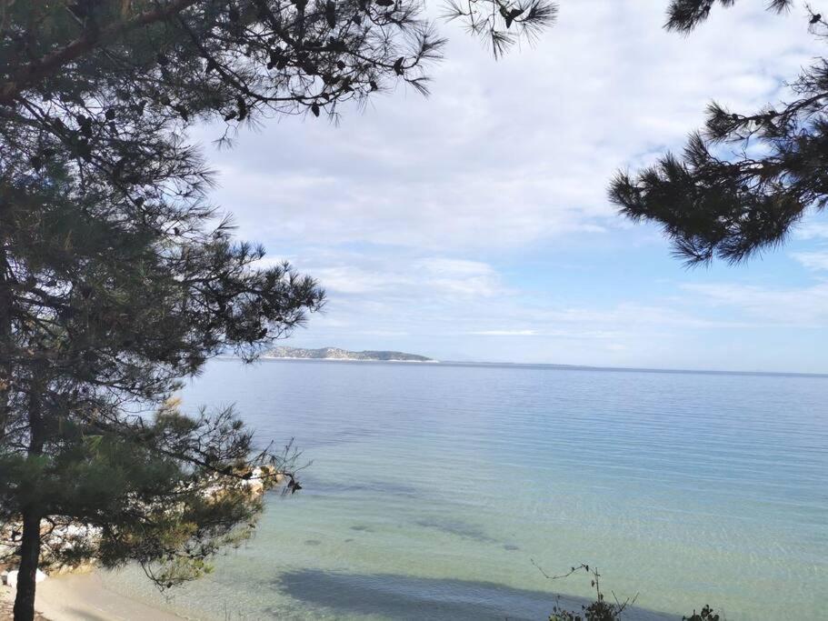 Central Thassos Apartment 3 Екстериор снимка